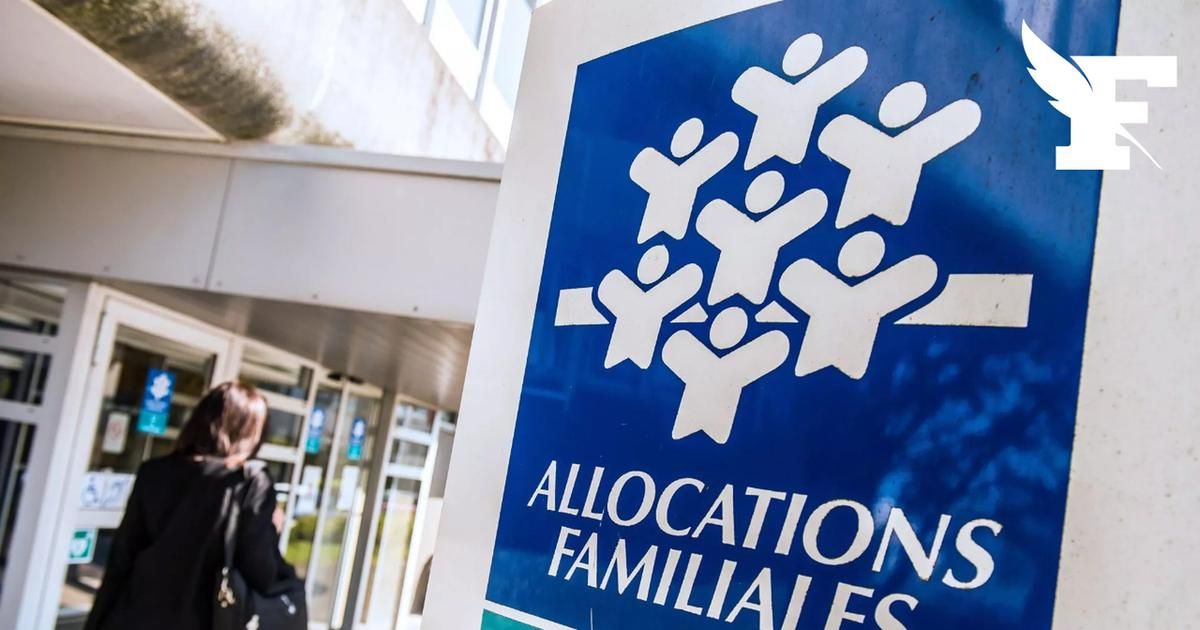 Caisses d'allocations familiales : 351 millions d'euros de fraudes identifiés