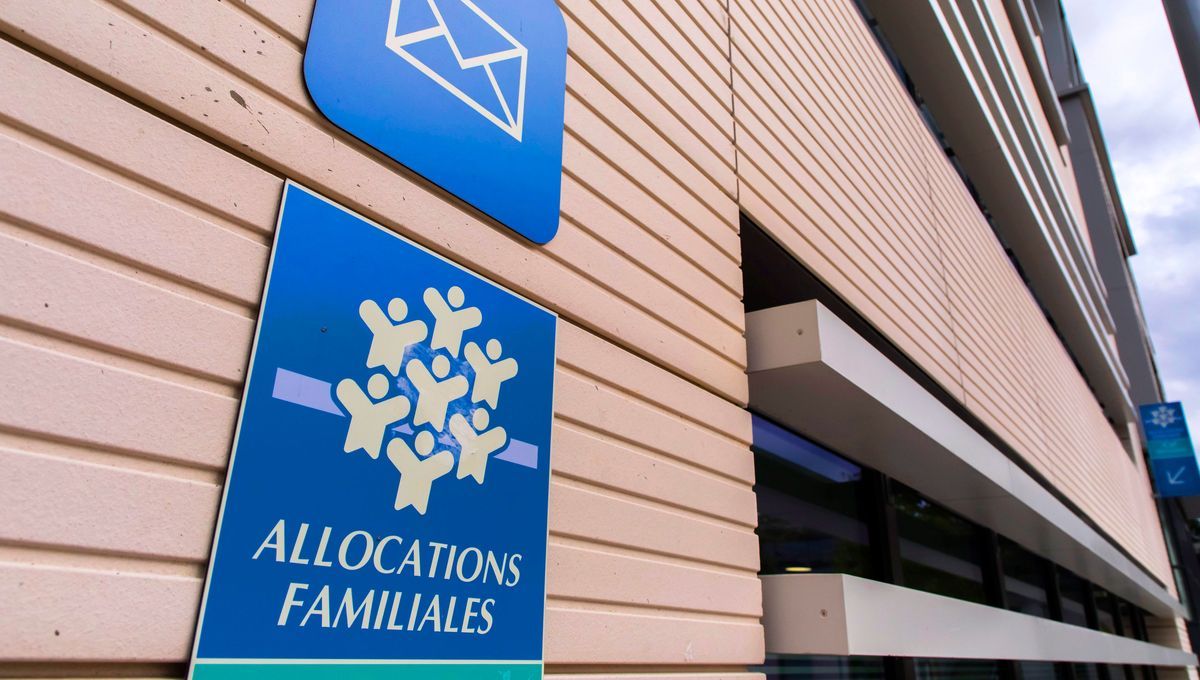 Fraude sociale : 351 millions d'euros d'escroqueries repérés par la Caisse d'allocations familiales en 2022