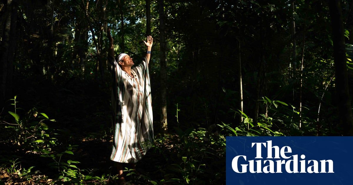 The forest knows: the Amazon village with a message for the world - a photo essay