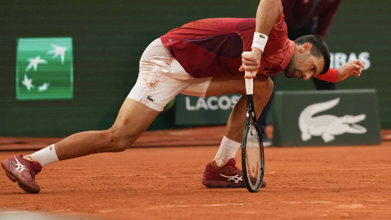 Roland-Garros 2024 : Djokovic déclare forfait, Sinner futur numéro 1 mondial, Swiatek expéditive... Ce qu'il faut retenir de la journée de mardi