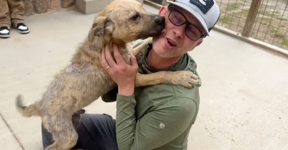 Ce chien ne peut contenir sa joie lorsqu'il rencontre sa famille d'accueil pour la première fois (vidéo)