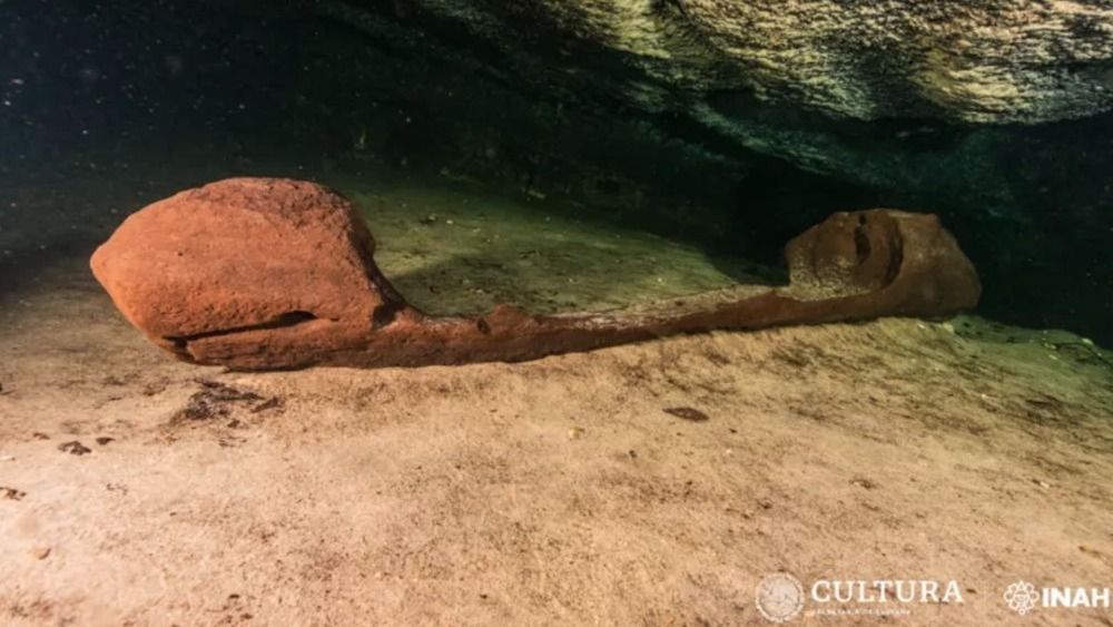 Maya canoe surrounded by animal and human bones found in 'portal to the underworld' in Mexico