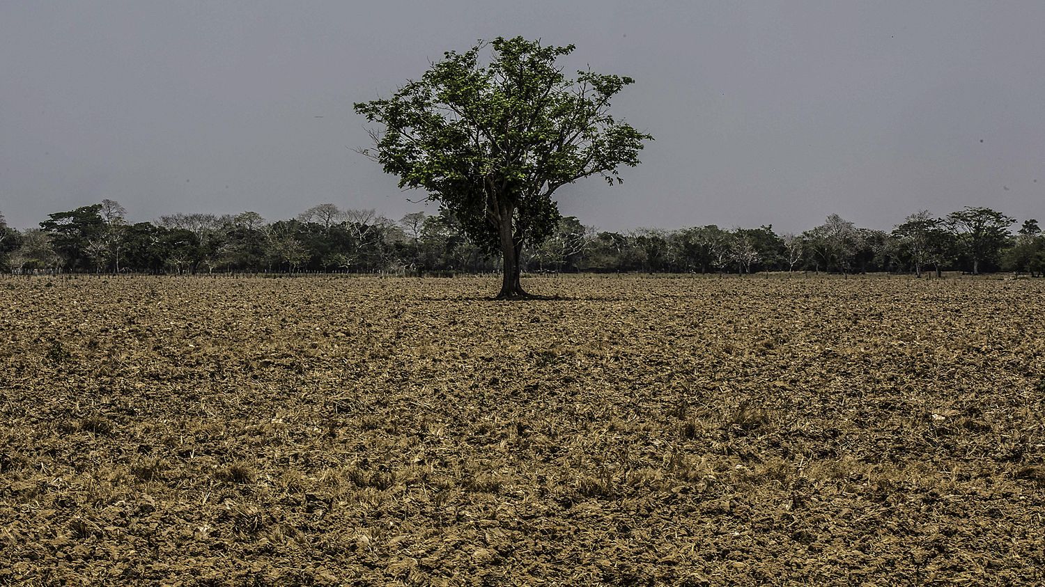 L'ONU appelle à anticiper les conséquences du phénomène météorologique El Niño, qui débute