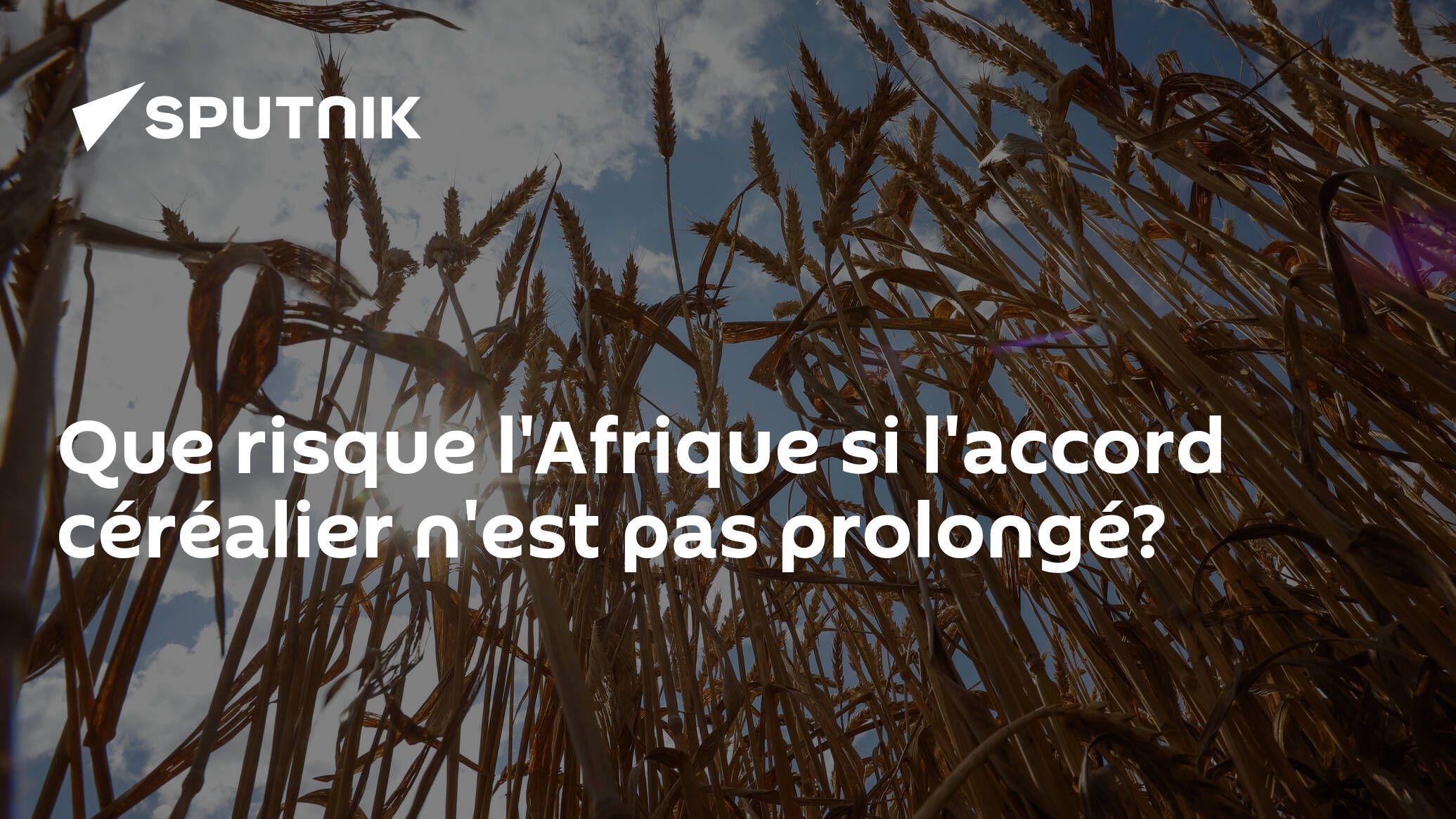 Que risque l'Afrique si l'accord céréalier n'est pas prolongé?