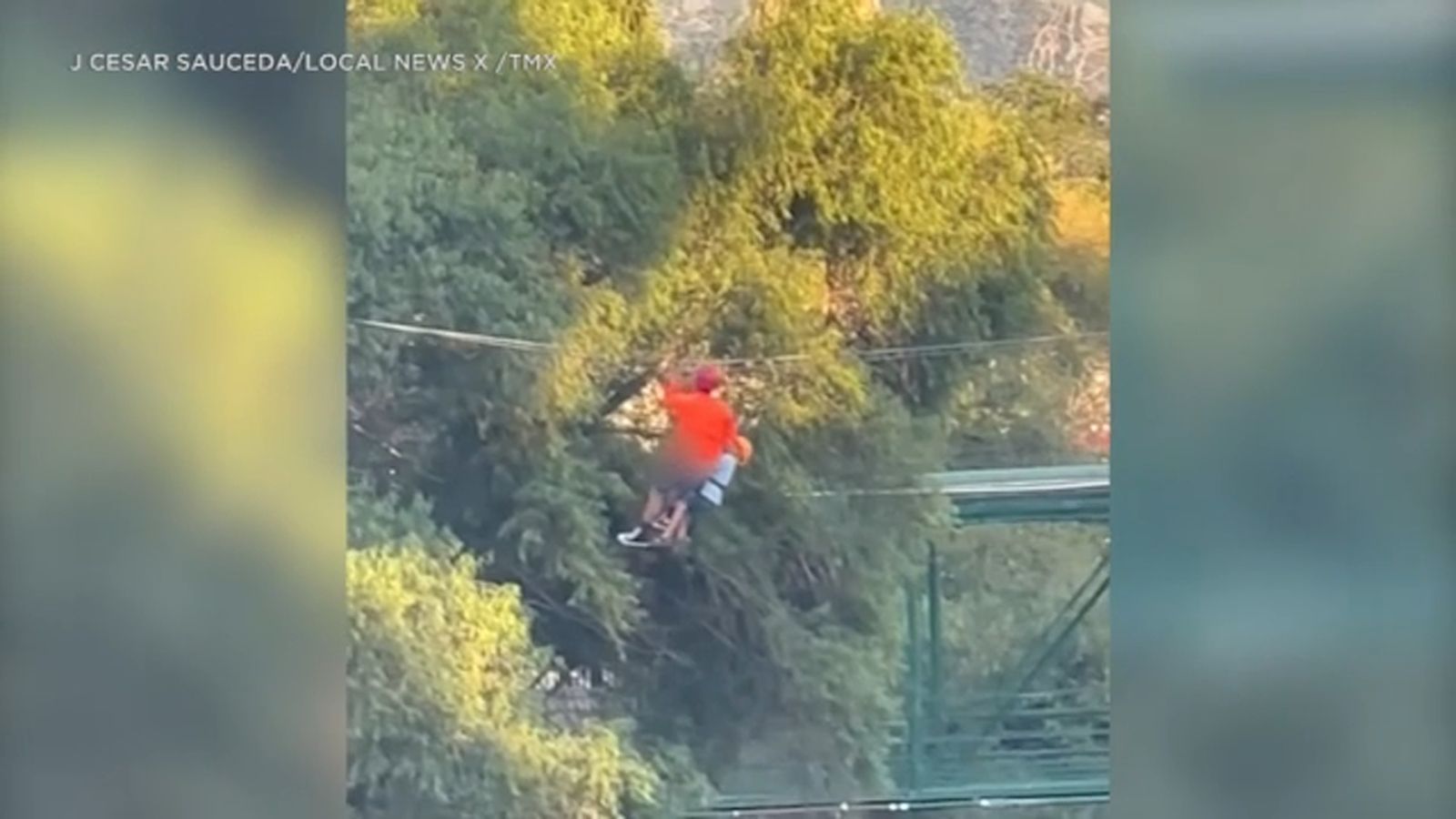 Family plans to sue ride operator after 6-year-old boy falls 40 feet in zip line accident