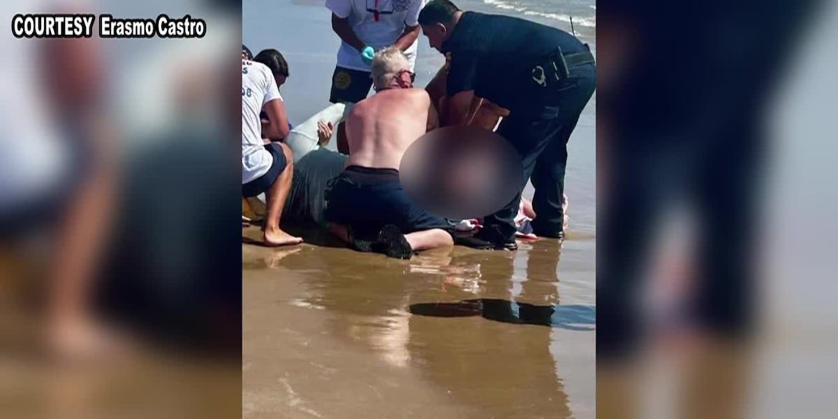 Shark Attacks Reported on South Padre Island on Fourth of July