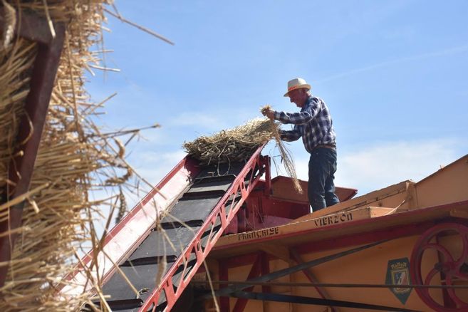 Fête des moissons, Nuit des étoiles, karaoké en plein air... Cinq idées de sorties, ce week-end dans le Loiret