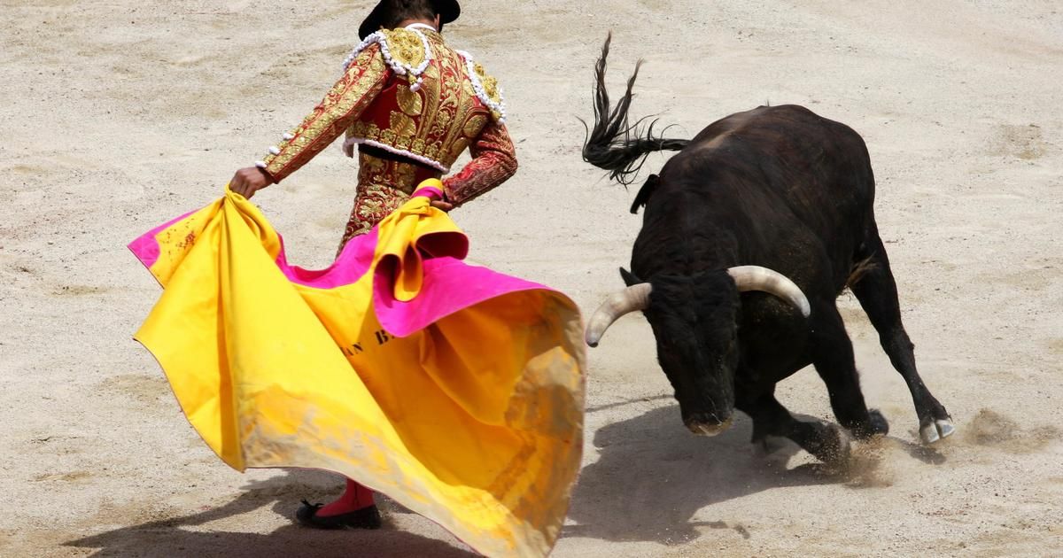 Andalousie : le jour de sa noce, un torero de renom fait faux bond à sa fiancée et leurs 500 invités