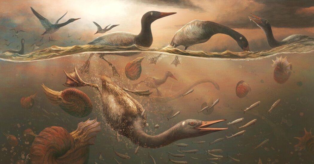 The Search for the Original Silly Goose in the Fossil Record