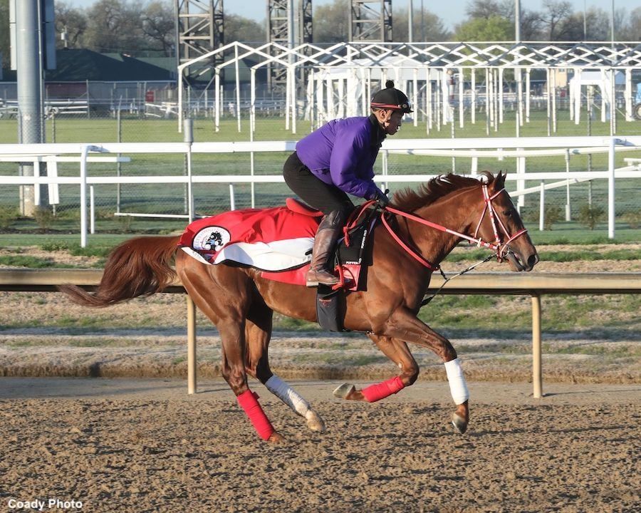 'Not Been Able To Reach Peak Fitness': Continuar Out, King Russell In 2023 Kentucky Derby - Horse Racing News