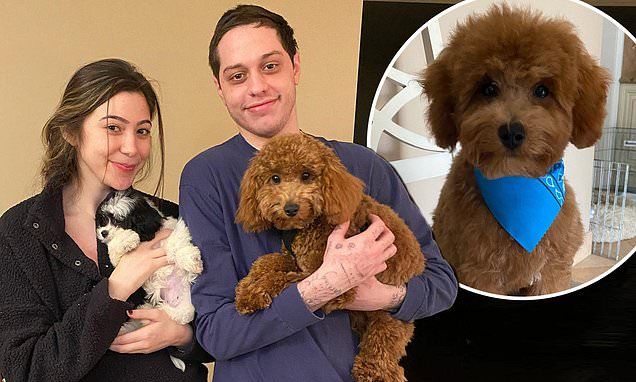 Pete Davidson shares heartbreaking family news that his beloved dog Henry passed away