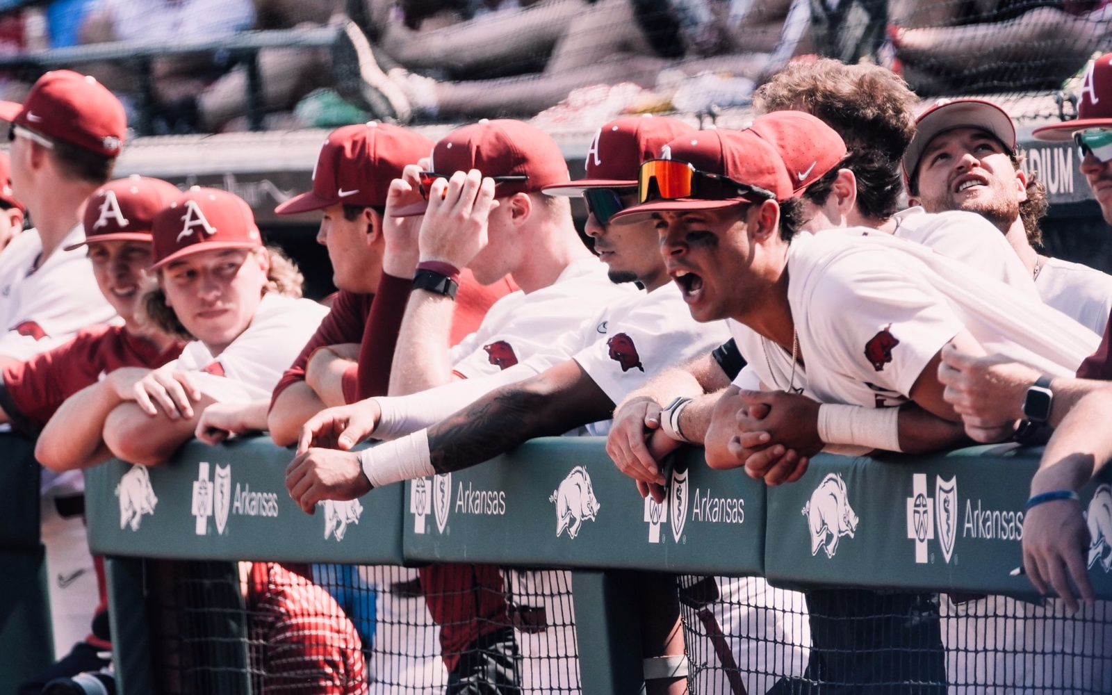 Hogs Try to Stave Off Elimination in Arkansas vs Santa Clara