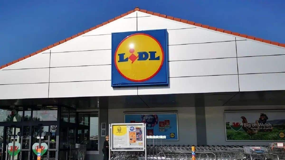 Lidl lance le produit parfait pour tout réparer à la maison !