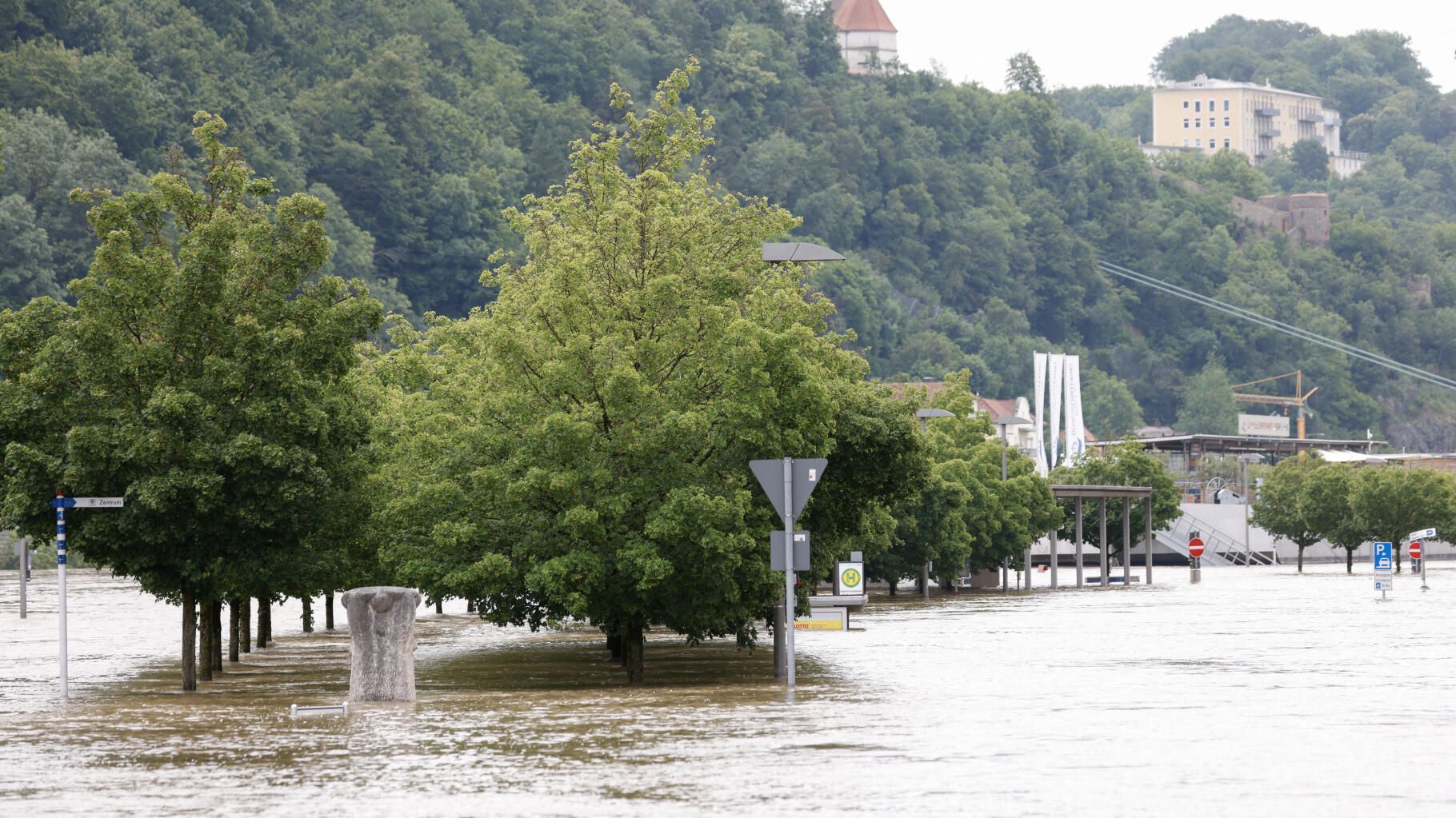 Inondations en Allemagne : une femme perchée 60 heures dans un arbre avant d’être sauvée