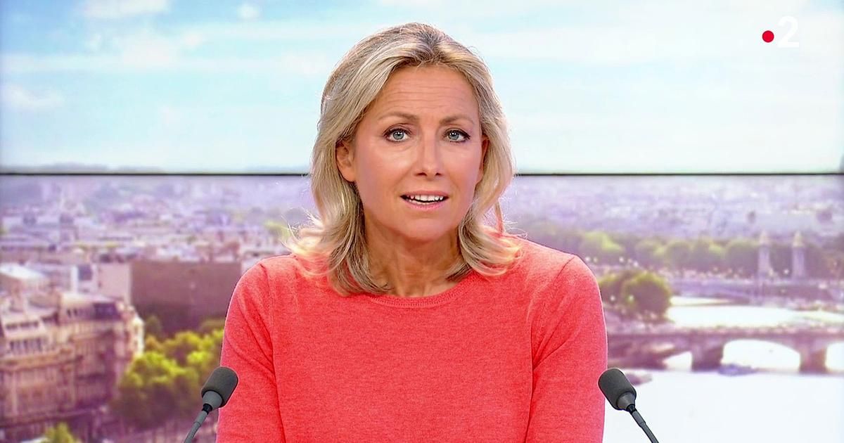 Anne-Sophie Lapix revient sur l'affaire Nahel dans le JT de France 2