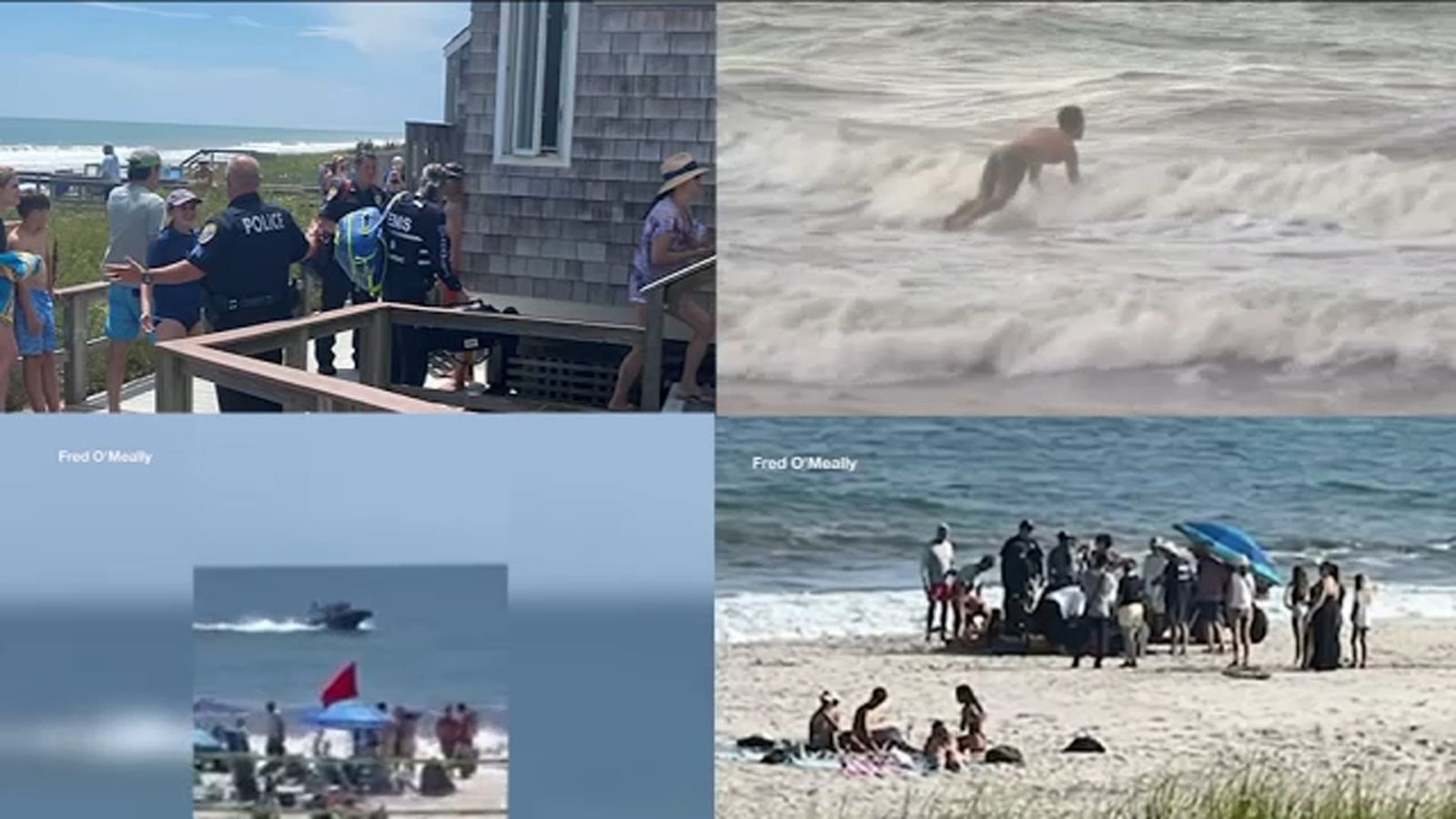 4 shark bites reported off Long Island in recent days