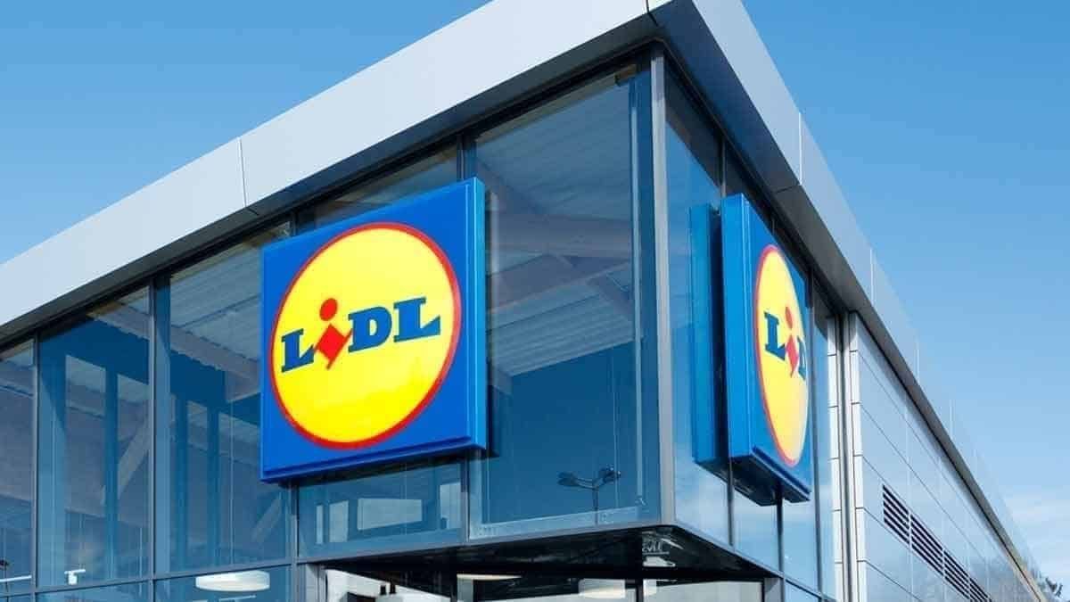 Ruée chez Lidl : cette moustiquaire en aluminium à prix mini et efficace fait fureur !