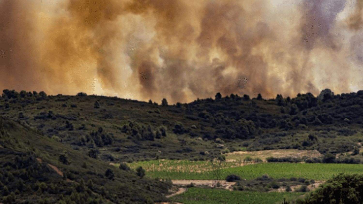 Incendie : des flammes ravagent la garrigue dans l’Aude