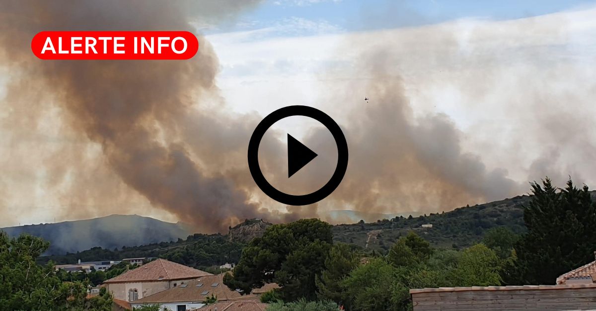 Aude : un virulent feu de forêt se déclare au nord de Narbonne, d’importants moyens engagés