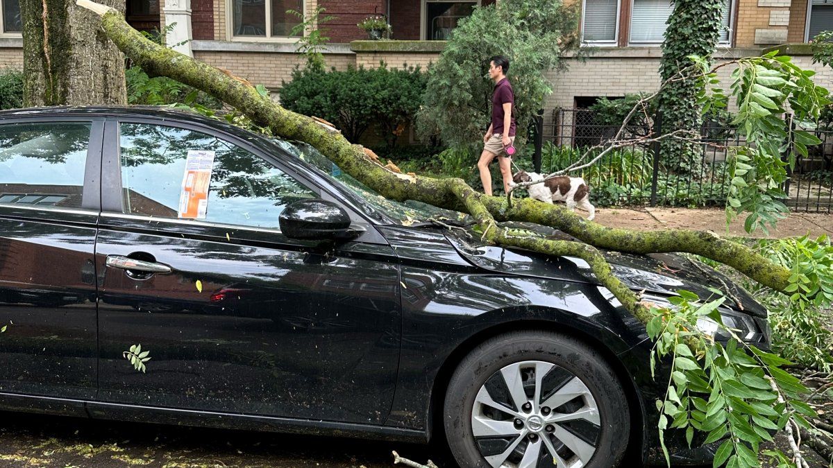 Timing: What to expect and when with Chicago-area storms