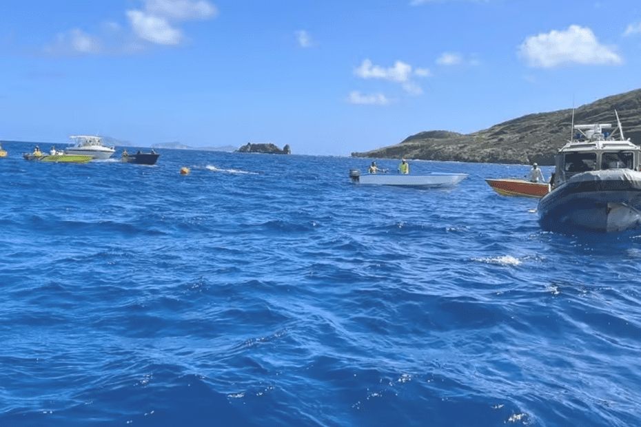 Un acteur d’Hollywood, ses filles et un pilote périssent dans un accident d’avion à Saint-Vincent-et-les-Grenadines