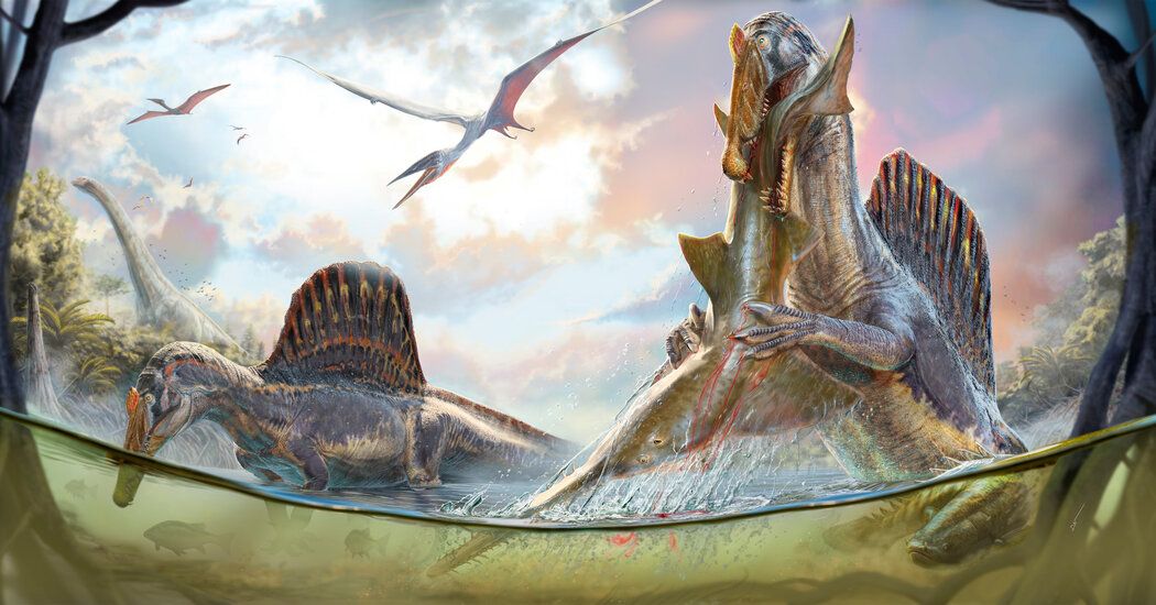 Spinosaurus Didn’t Swim After Its Supper, Study Claims