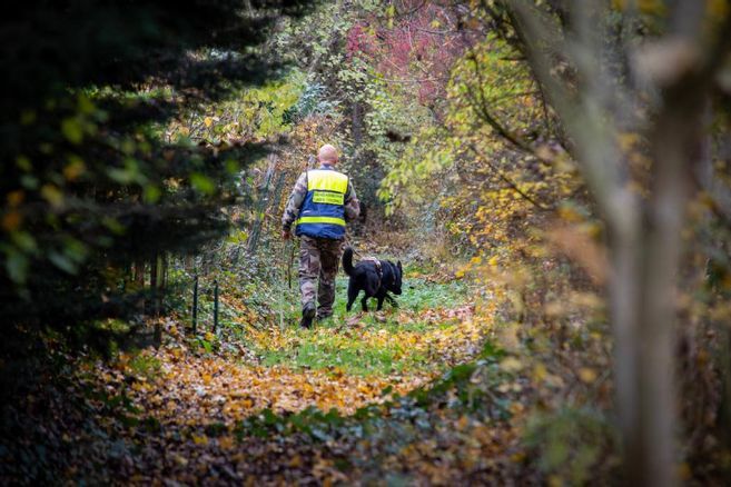 À Mercoeur, en Corrèze, un corps retrouvé dans les sous-bois pourrait être celui d'une trentenaire disparue