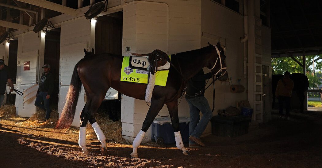 What to Watch for in the 2023 Kentucky Derby