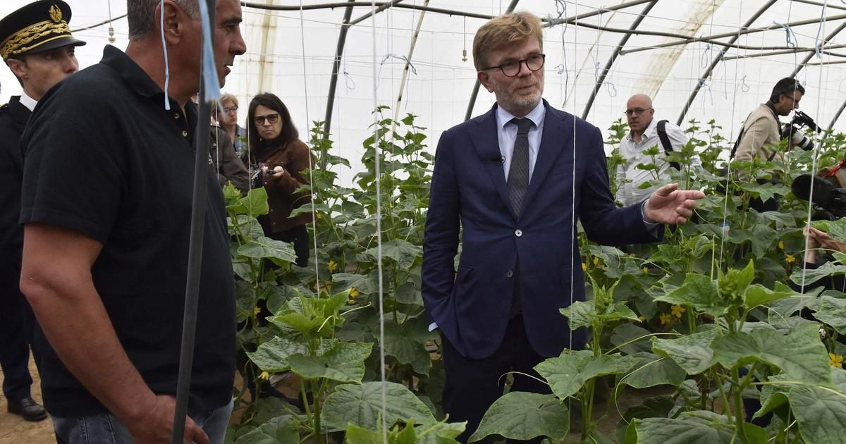 Sécheresse dans les Pyrénées-Orientales : Marc Fesneau promet des indemnisations aux agriculteurs