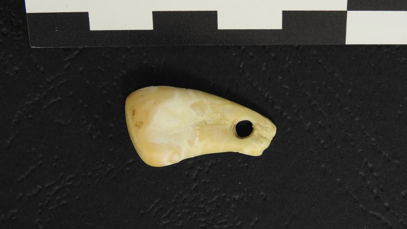 Scientists used DNA to unlock who wore a 25,000-year-old pendant