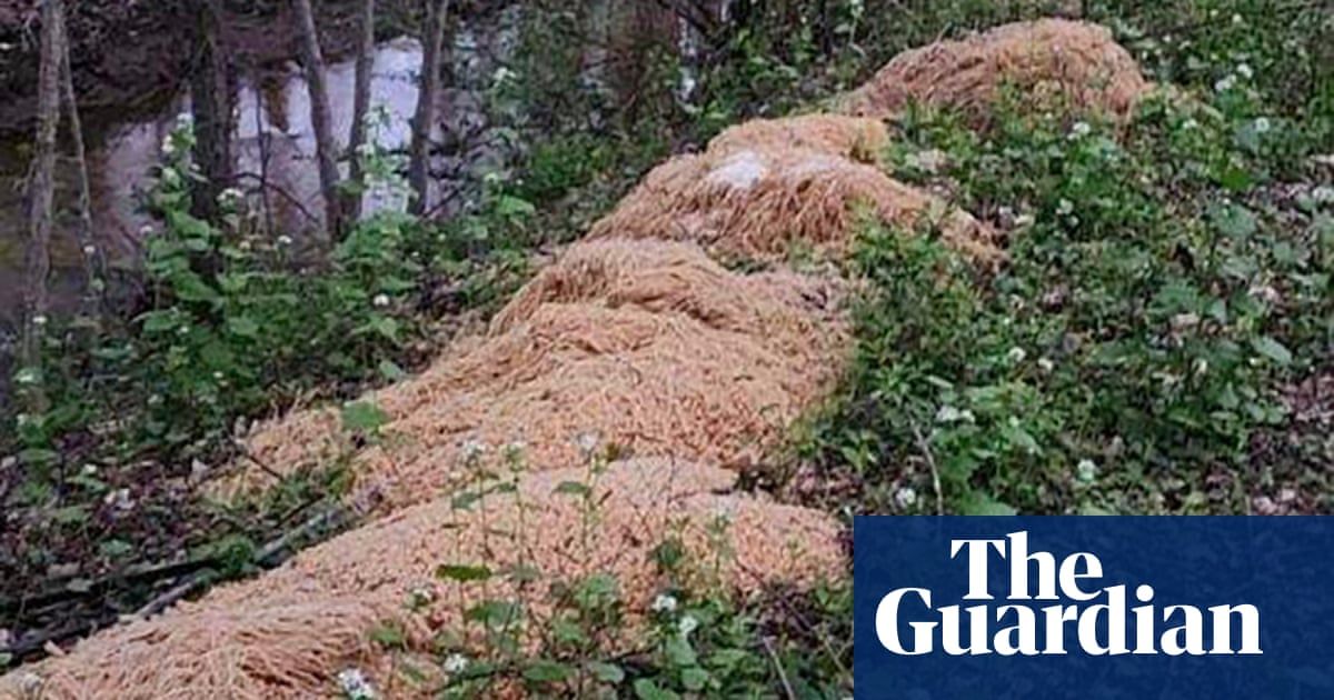 Holy macaroni! New Jersey town baffled by 500lbs of pasta dumped by brook