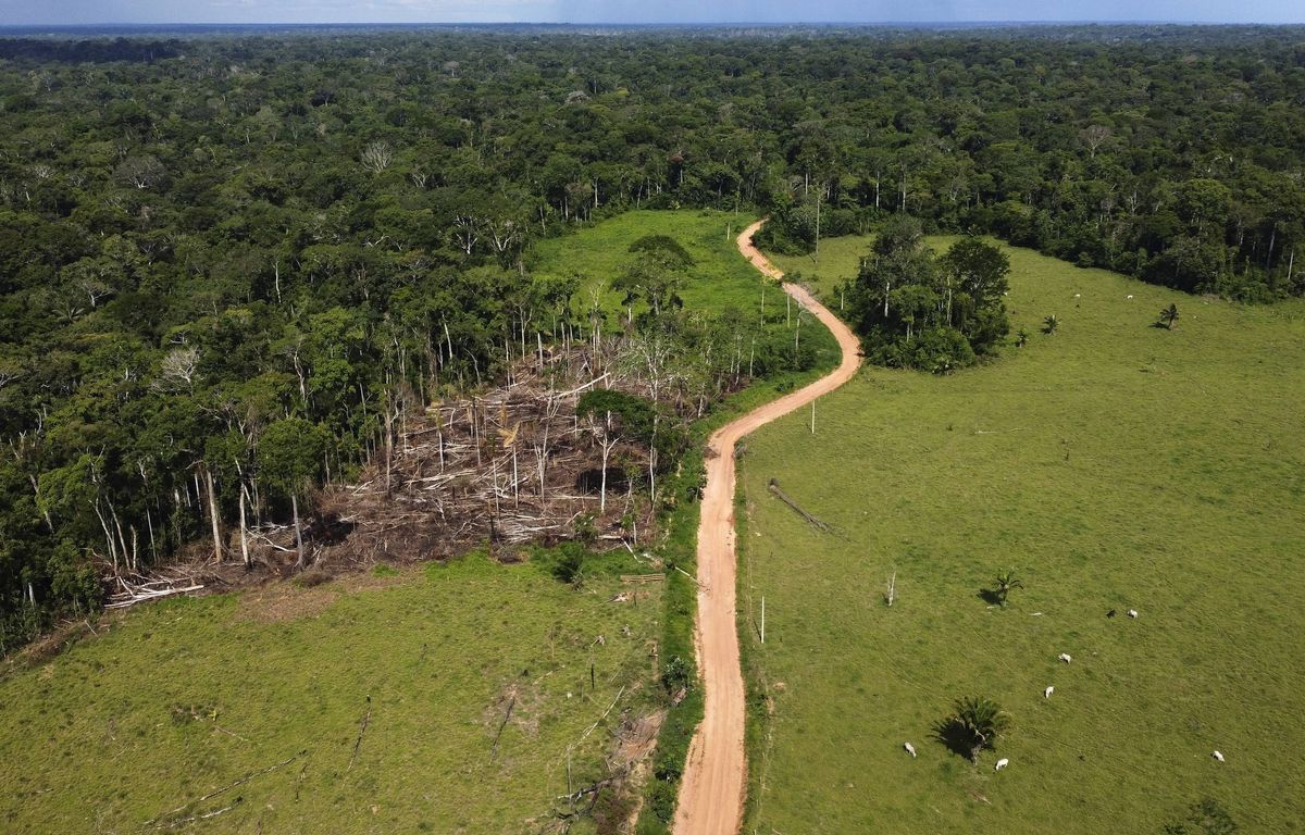 Lula annonce un nouveau plan contre la déforestation de l'Amazonie