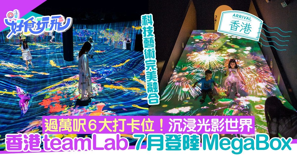 香港teamLab ︳7月登陸九龍灣MegaBox 過萬呎6大打卡位沉浸光影