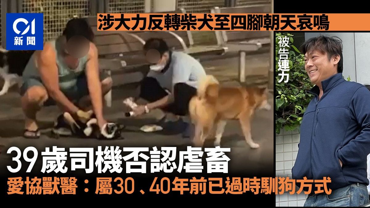 柴犬疑被反轉至四腳朝天哀鳴 司機否認虐畜 獸醫指屬過時馴狗法