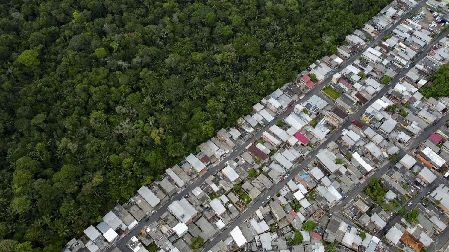 Brésil : Lula annonce un nouveau plan contre la déforestation de l'Amazonie