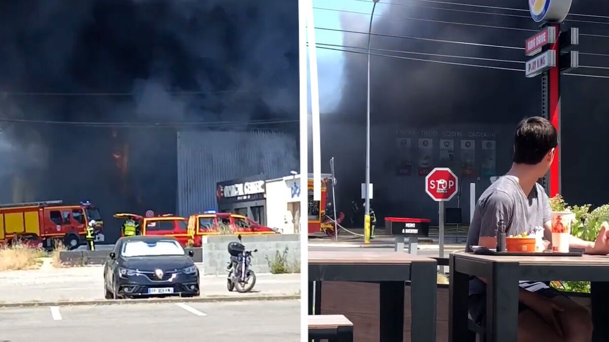 VIDÉO. Un magasin Centrakor ravagé par les flammes près de Nantes : 4 blessés et des animaux morts