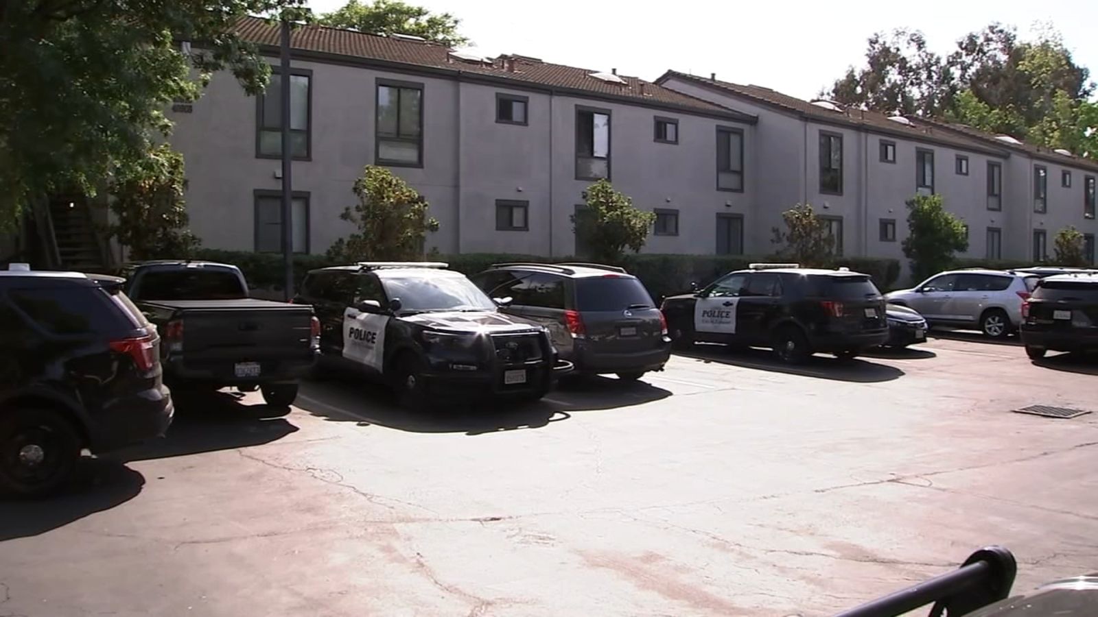 Fremont mother killed 1-year-old, 4-year-old in murder-suicide, police say