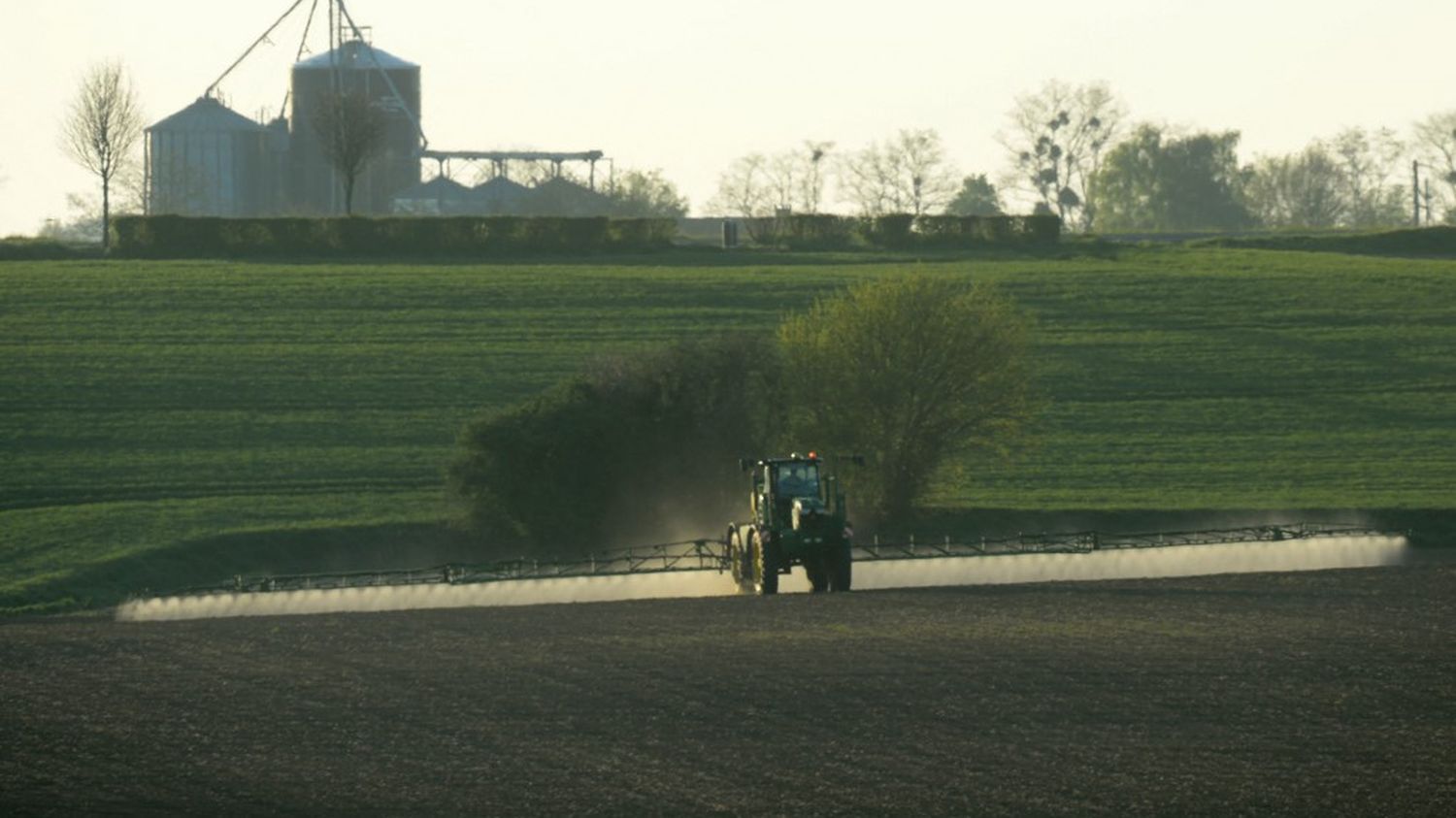 Glyphosate : l'Autorité européenne de sécurité des aliments ne s'oppose pas au renouvellement de son autorisation dans l'UE, mais pointe des lacunes dans les données