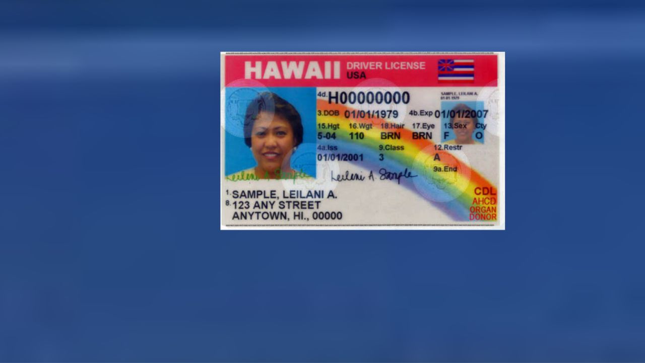 Hawaii licenses hit by Florida's illegal immigrant crackdown