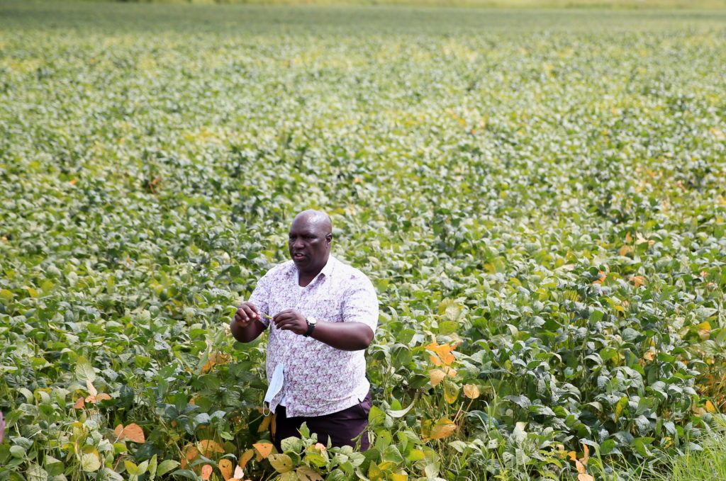 UN says millions left with no aid as West Africa suffers worst hunger crisis in 10 years