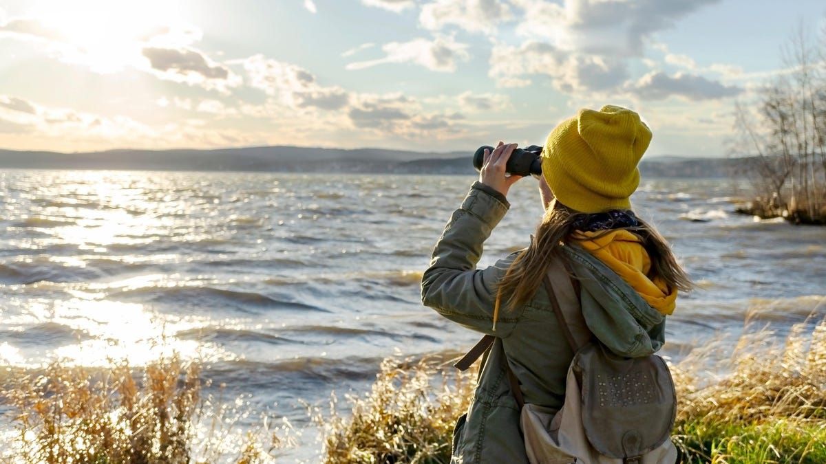 These 12x Digital Camera Binoculars Are 50% Off Right Now