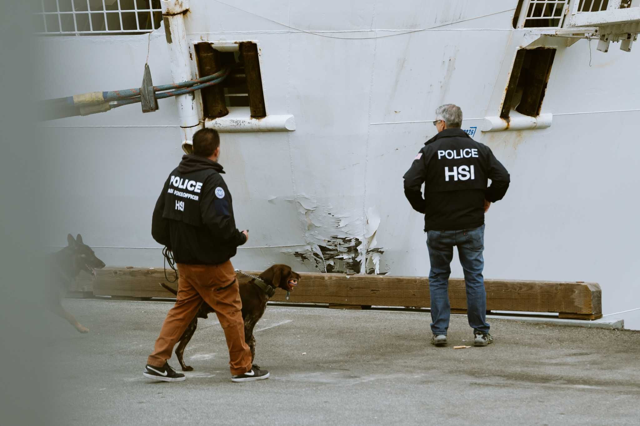 Princess Cruises ship crashes into SF's Pier 27