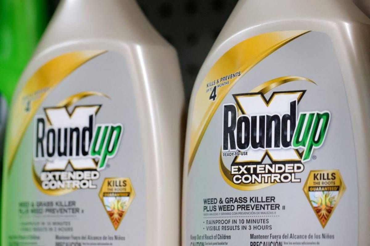 UE: L'Autorité de sécurité des aliments rend un avis favorable au glyphosate