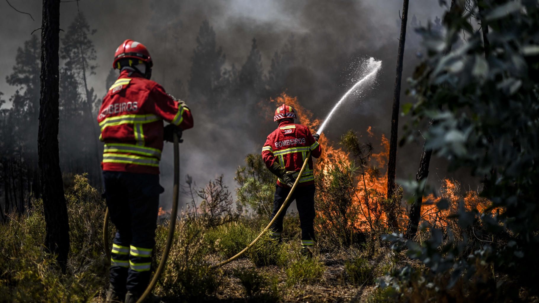 Au Portugal, un incendie détruit 7 000 hectares de forêt, et 1 000 hectares ont été brûlés en Espagne ce week-end