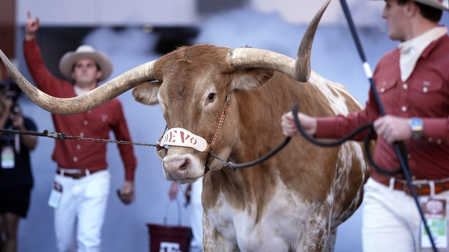 Texas' mascot Bevo not allowed at SEC title game