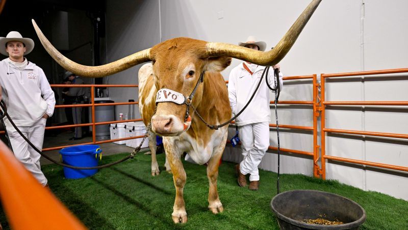 The SEC to Texas: No Bevo at the SEC title game vs. Georgia