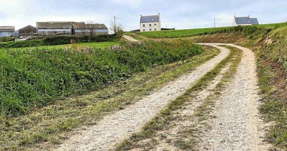 Cyclisme. Pourquoi le ribin de la ferme est la star du Tro Bro Leon