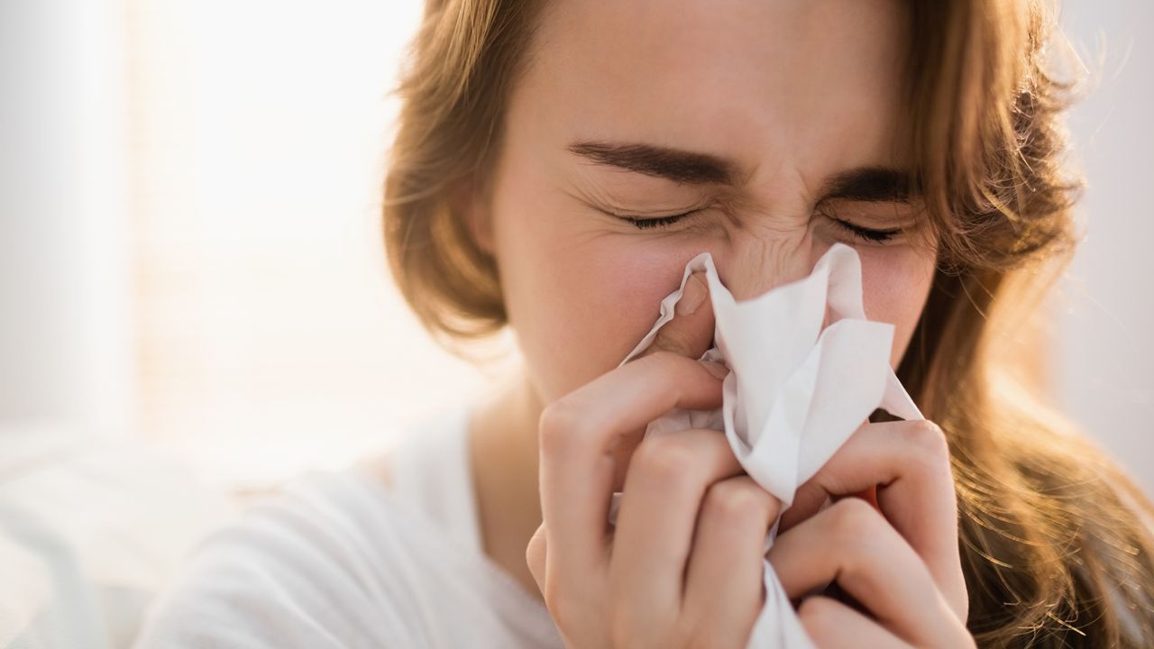 Allergies au pollen : plus de 40 départements en alerte rouge, consultez la nouvelle carte