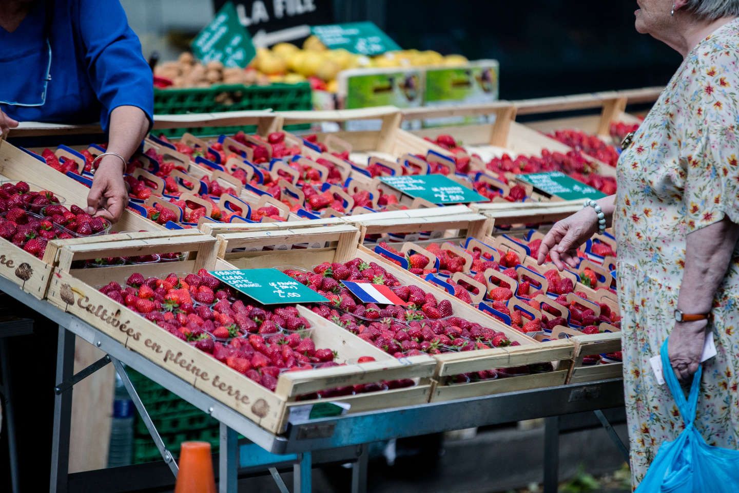 Matières premières : " La fraise ramène sa framboise "