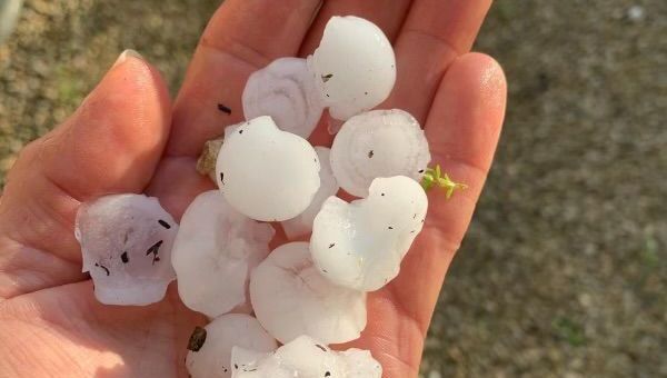 "Des grêlons plus gros que des œufs de caille" et de fortes pluies balayent la Dordogne